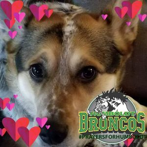 Meet your Posher, Colleen